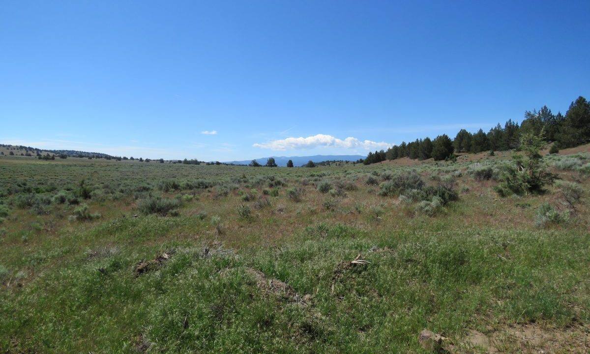 1360-acres-siskiyou-ranch-11