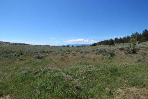 1360-acres-siskiyou-ranch-11