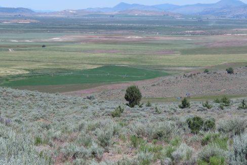 1360-acres-siskiyou-ranch-12