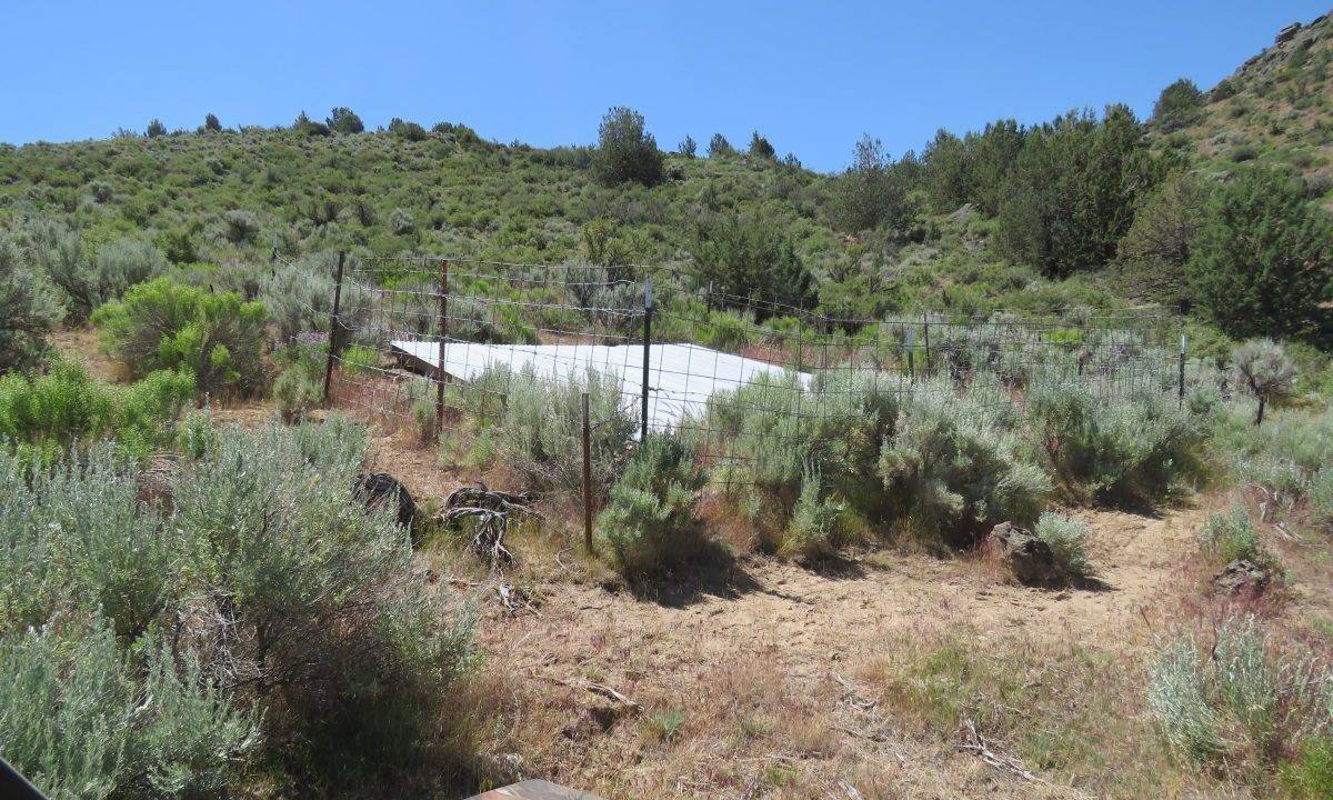 1360-acres-siskiyou-ranch-14