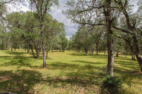 375-ac-Sunshine-Ranch16