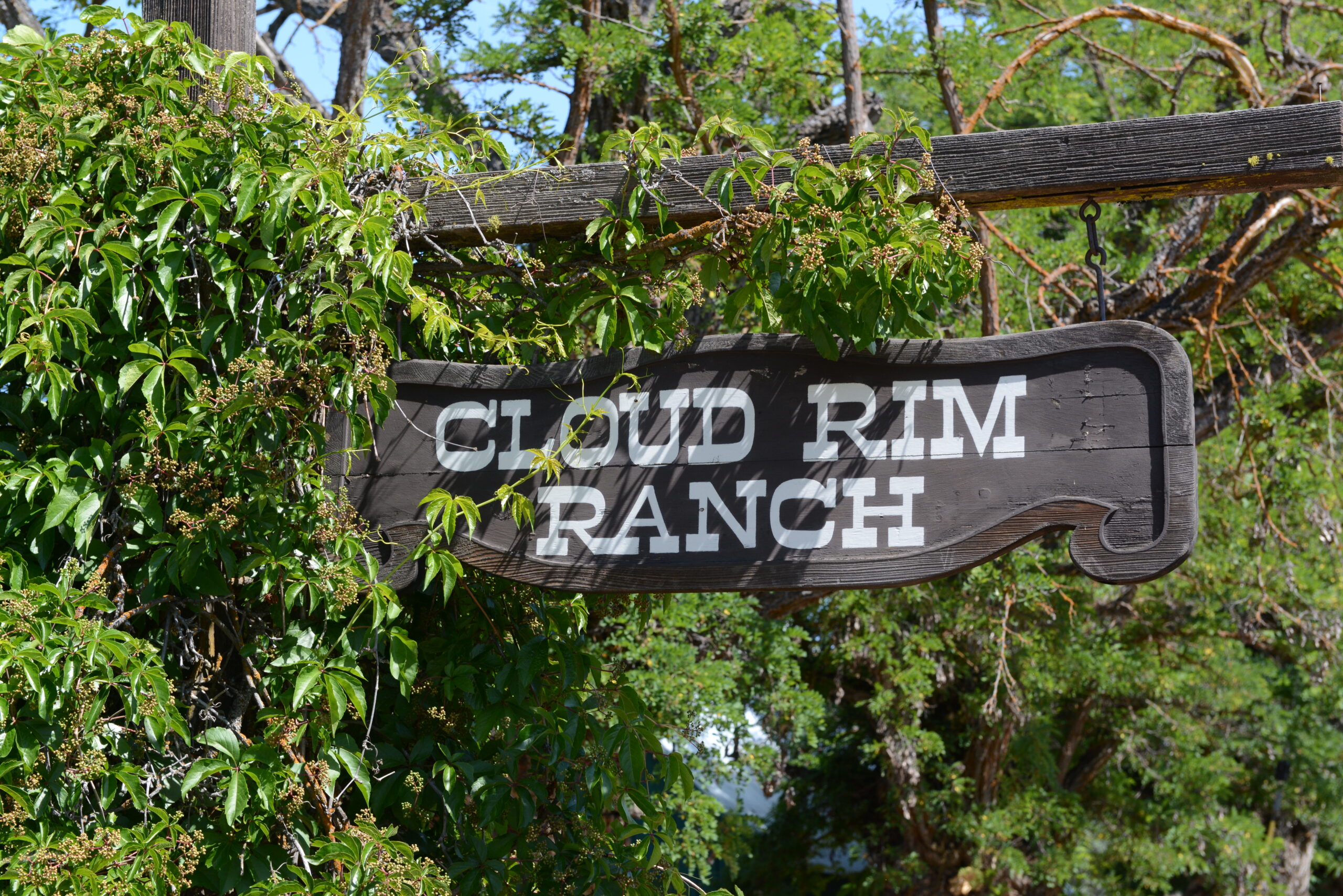 Cloud Rim Ranch