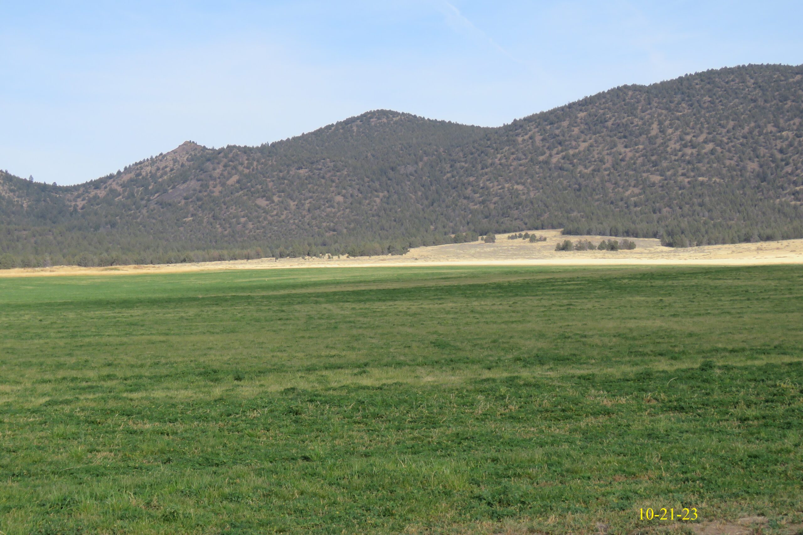 925 acre Red Rock Road Ranch