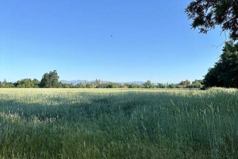 05-19-23 Grain Hay almost ready