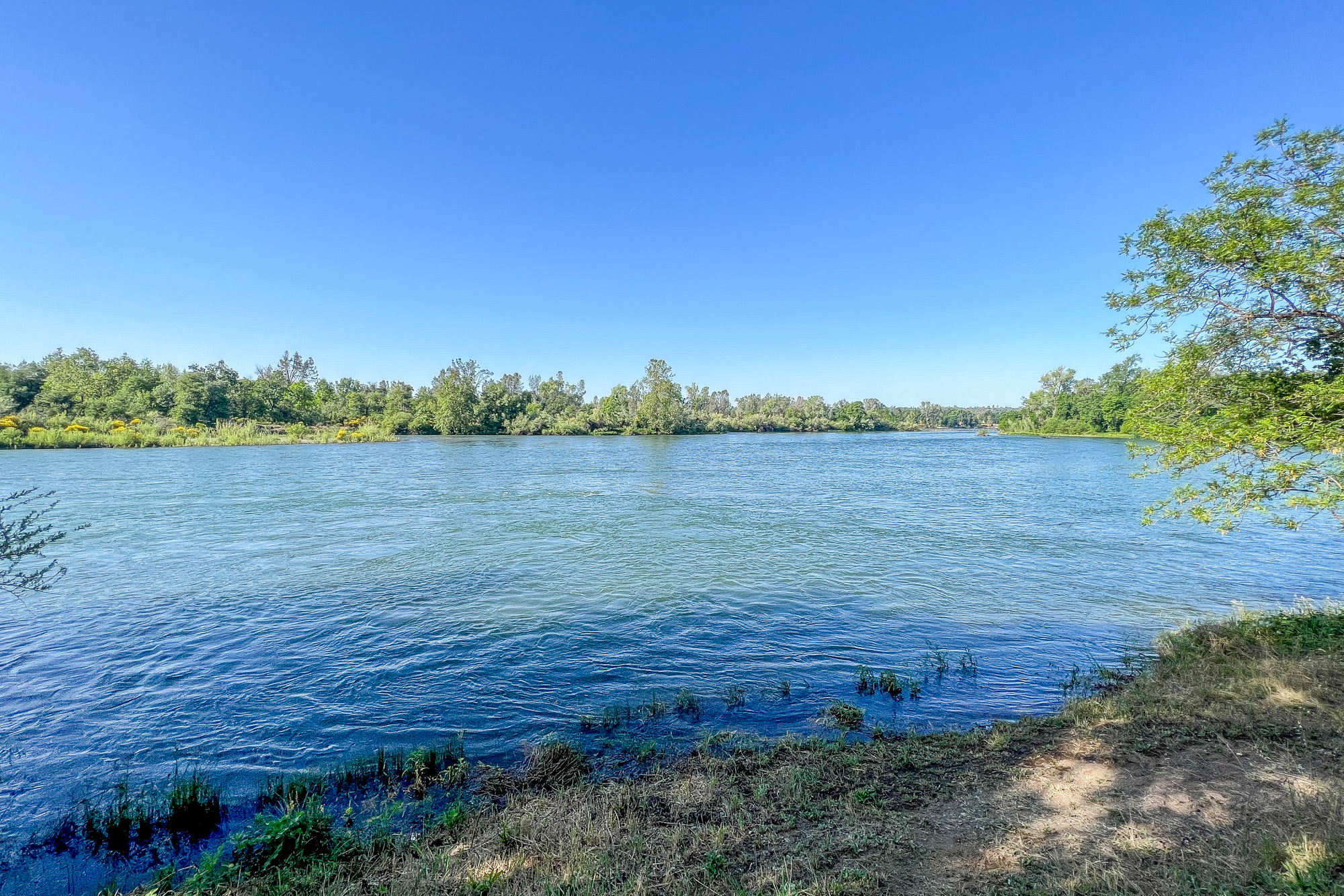Sacramento River – Clover Road