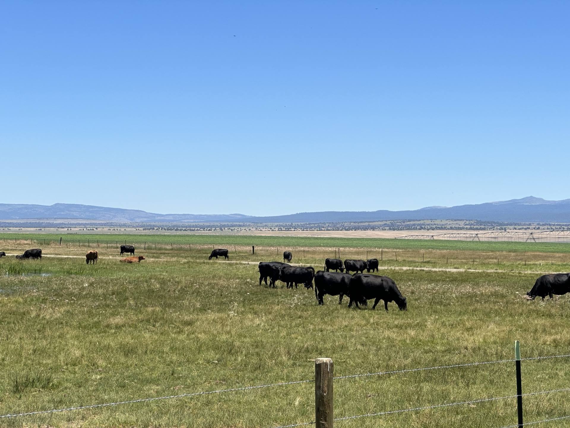 South Fork Valley Ranch