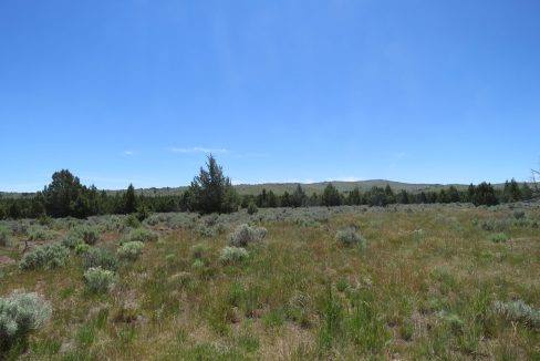 22 McGarva BLM permit pics