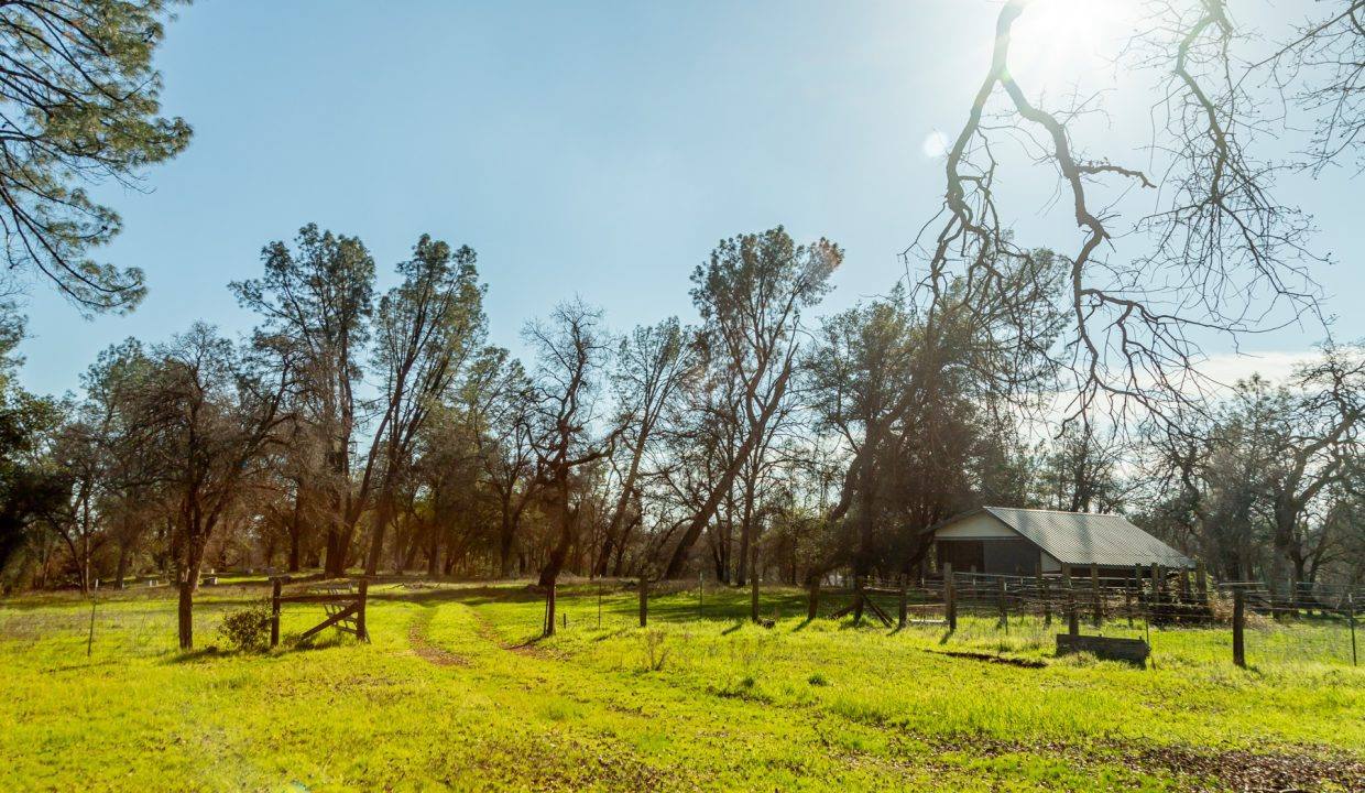 Barn