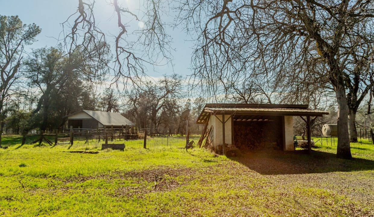 Barn and shed