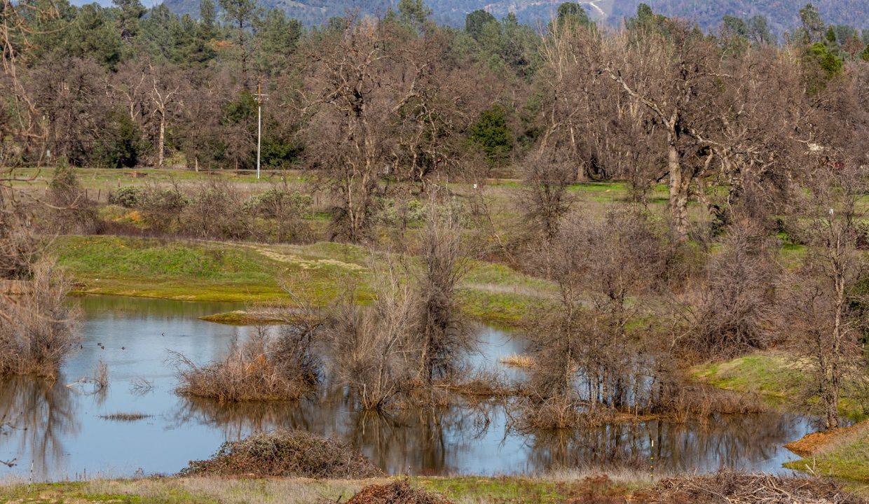 Pond