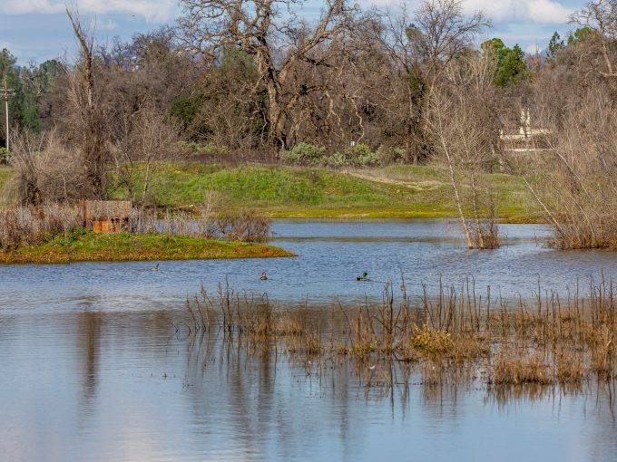 60 acres Moody Creek – Redding, CA