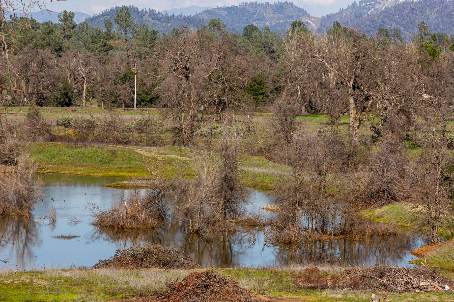 60 acres Moody Creek – Redding, CA