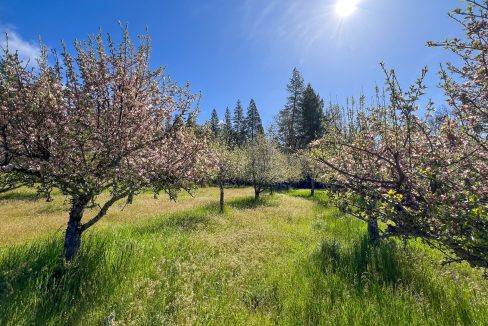 Corral Creek Ranch-3