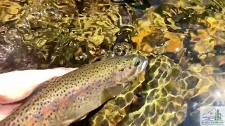 186 ac Corral Creek Ranch