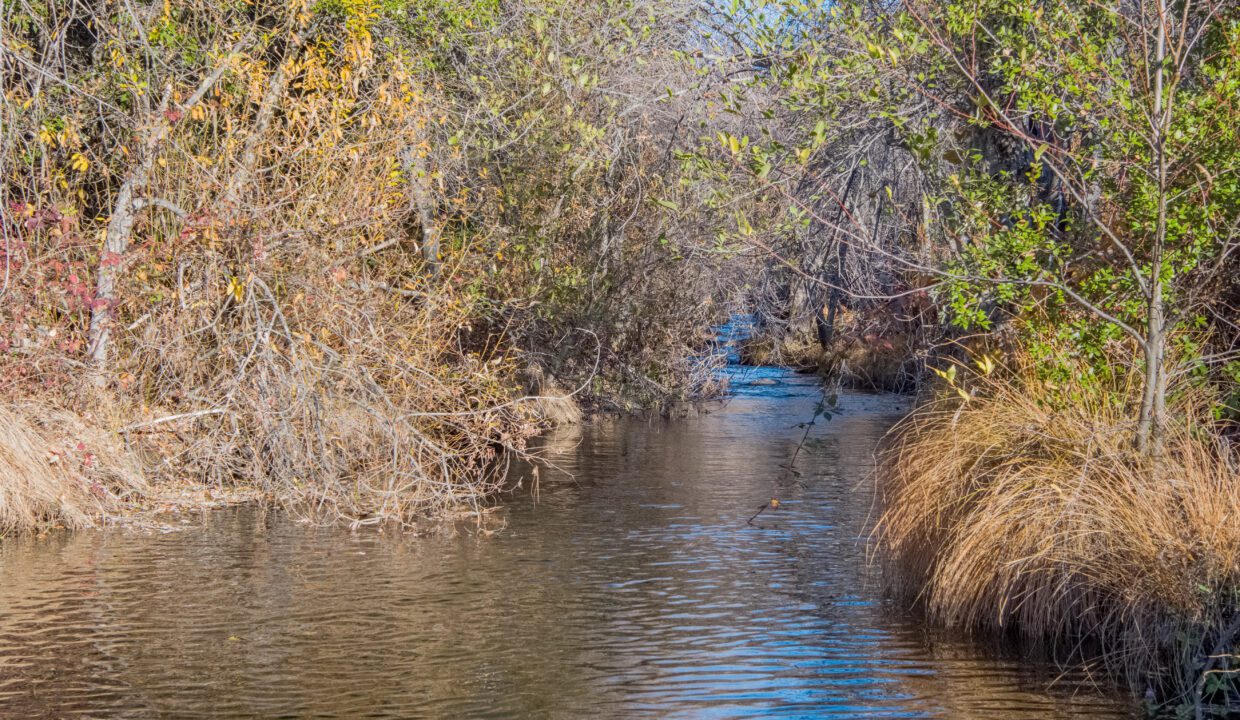 Clark Family Ranch (1 of 37)
