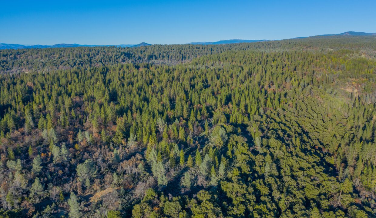 Clark Family Ranch (17 of 37)