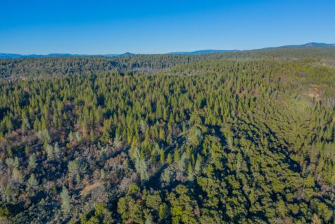 Clark Family Ranch (17 of 37)