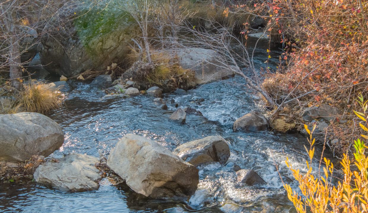 Clark Family Ranch (2 of 37)