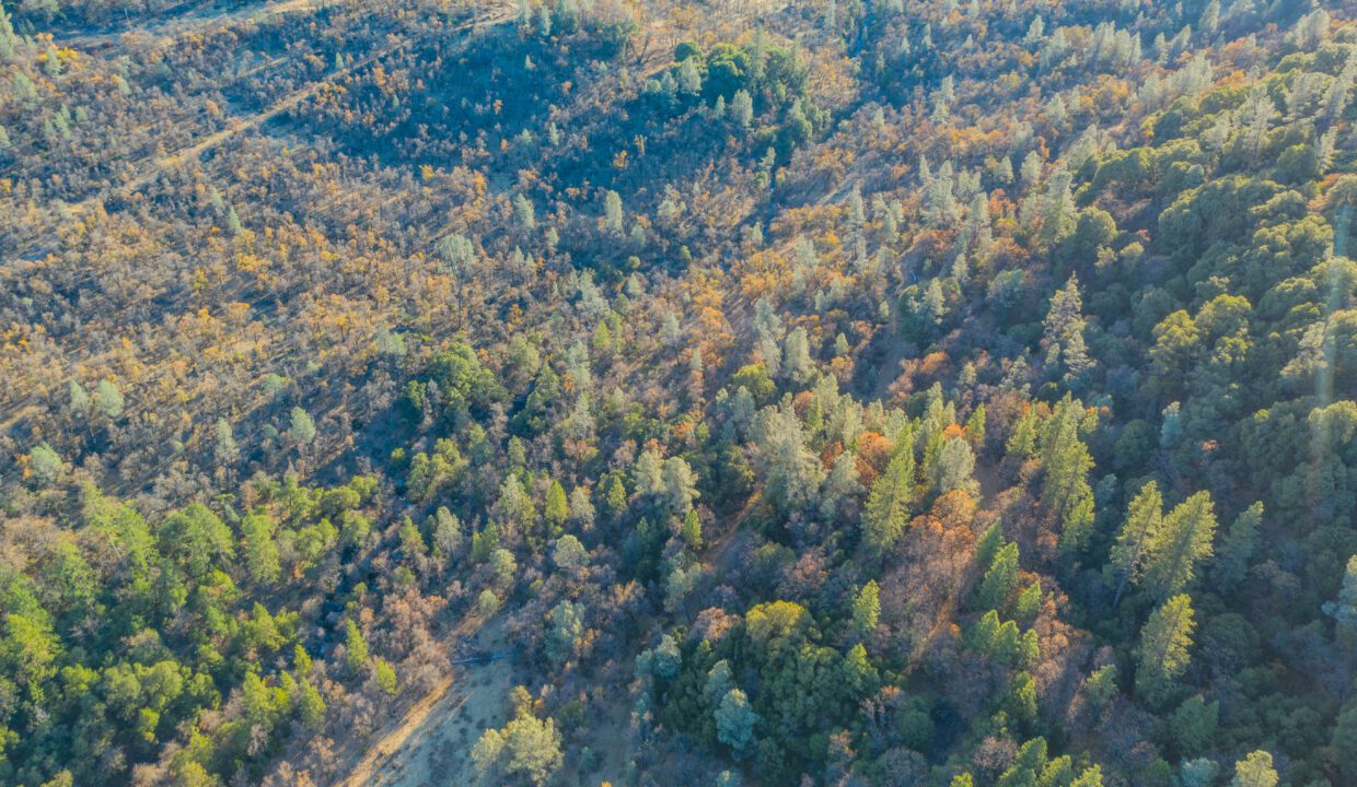 Clark Family Ranch (20 of 37)