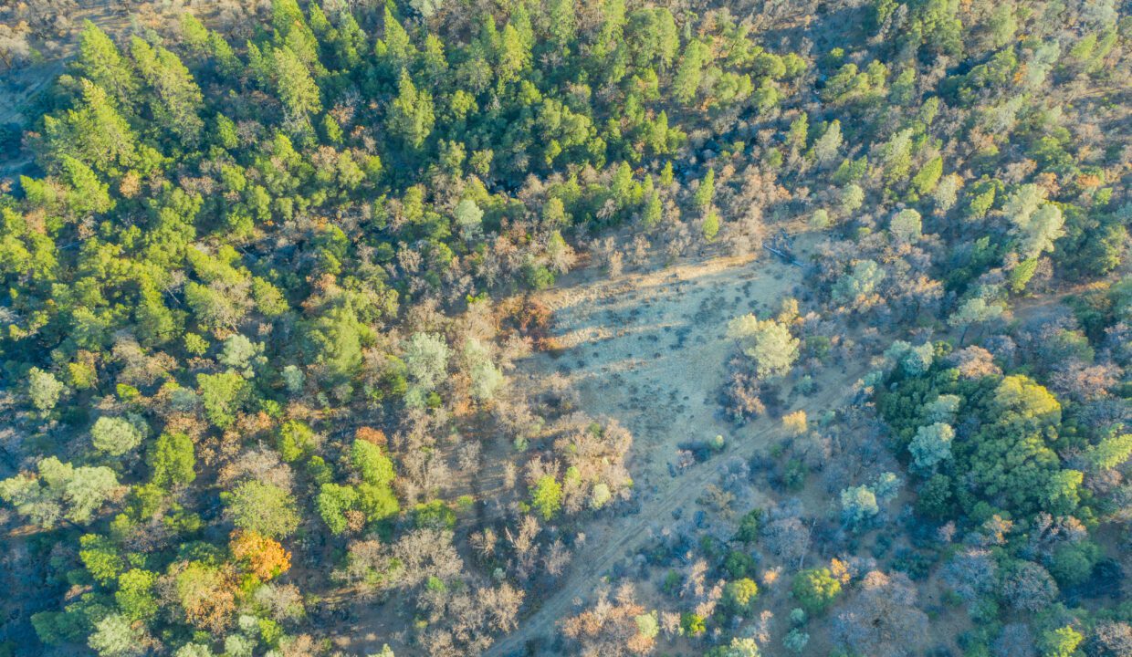 Clark Family Ranch (21 of 37)