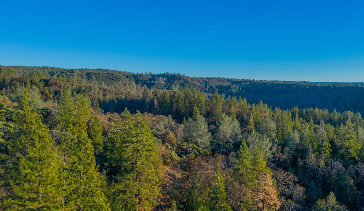 Clark Family Ranch (34 of 37)