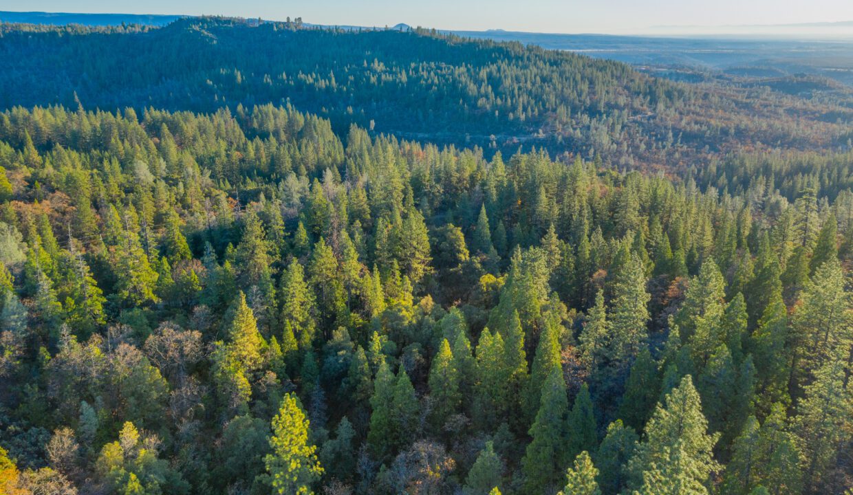 Clark Family Ranch (35 of 37)