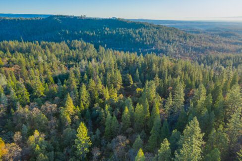 Clark Family Ranch (35 of 37)