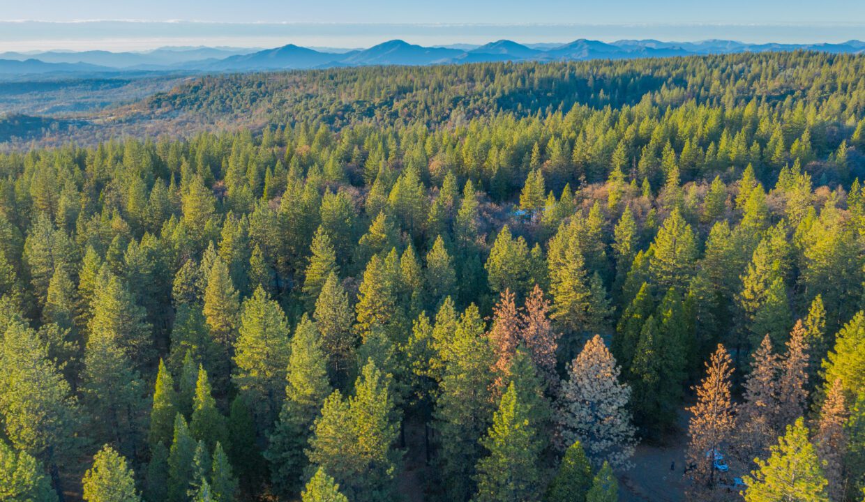 Clark Family Ranch (37 of 37)