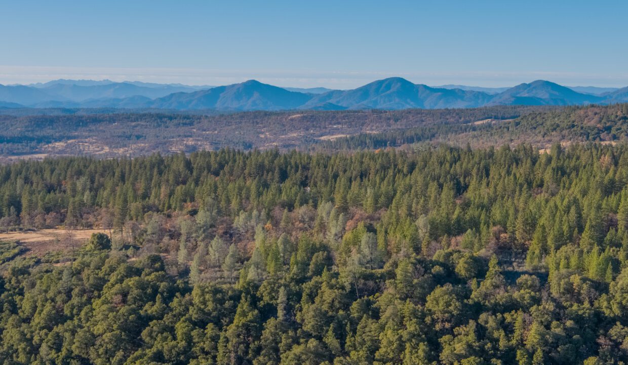Clark Family Ranch (4 of 37)