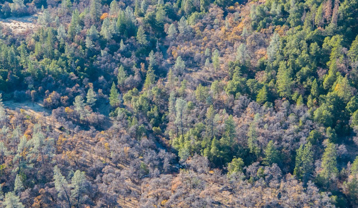 Clark Family Ranch (5 of 37)