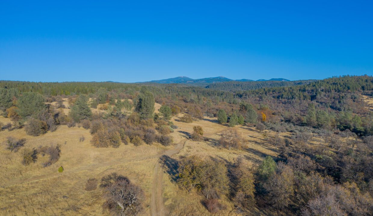 Clark Family Ranch (9 of 37)