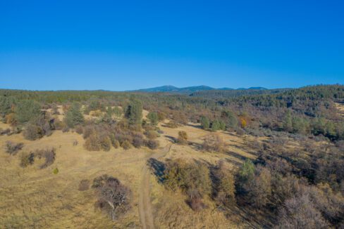 Clark Family Ranch (9 of 37)