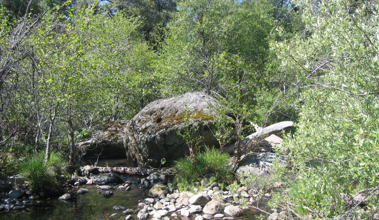 Clark Ranch May 07 001