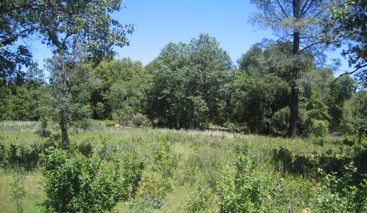 Clark Ranch May 07 014