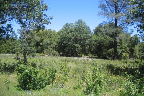 Clark Ranch May 07 014