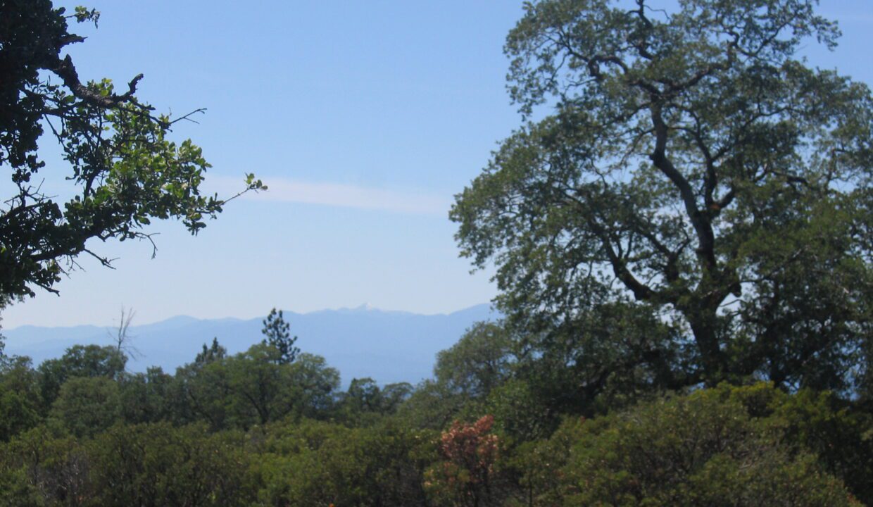 Clark Ranch May 07 017