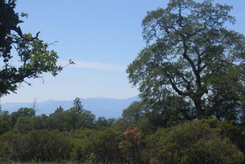 Clark Ranch May 07 017