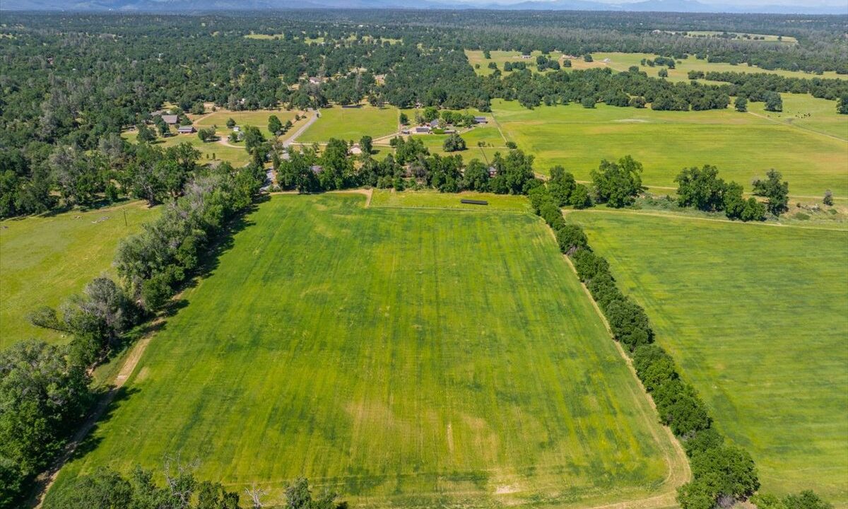 042-3141 Meadow Oak Ln - ED-5