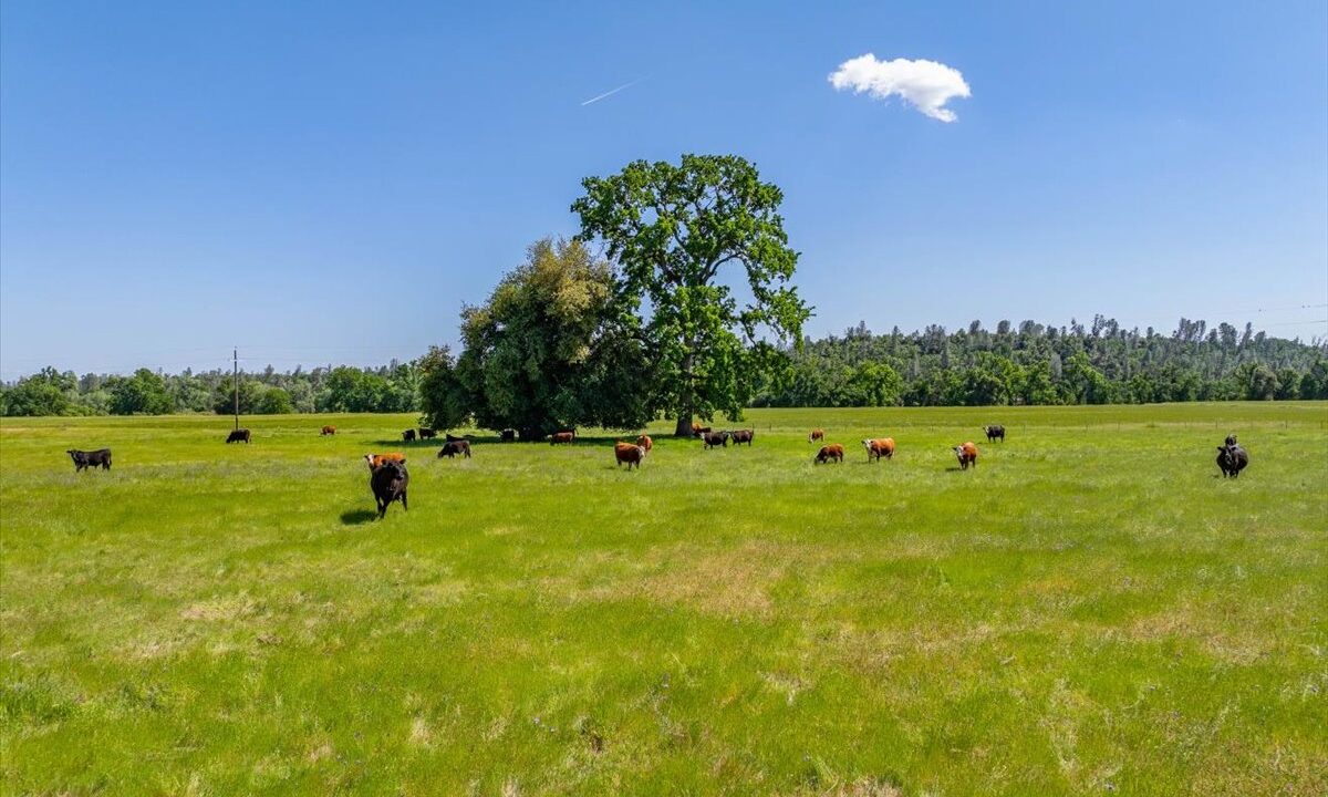 056-3141 Meadow Oak Ln - ED-22