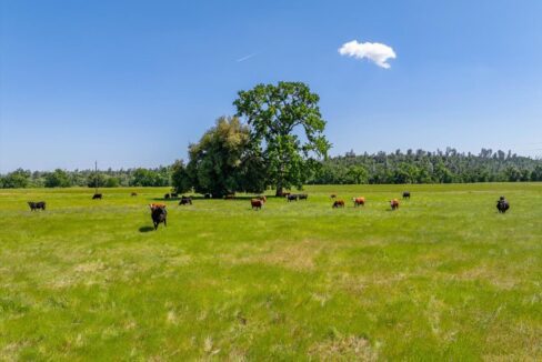 056-3141 Meadow Oak Ln - ED-22