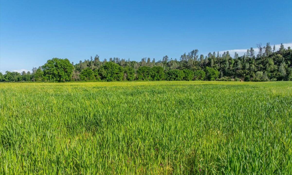 121-3141 Meadow Oak Ln - ED-88