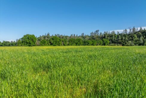 121-3141 Meadow Oak Ln - ED-88