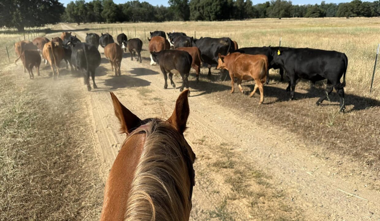 351187642_470241955314697_4211011750780213168_n