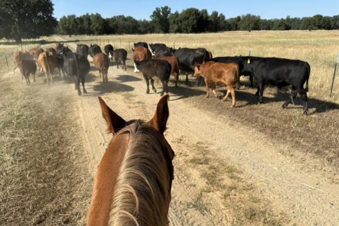 351187642_470241955314697_4211011750780213168_n