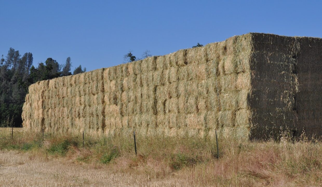 442473169_10168845523595511_1754558553540221084_n