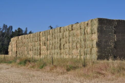 442473169_10168845523595511_1754558553540221084_n