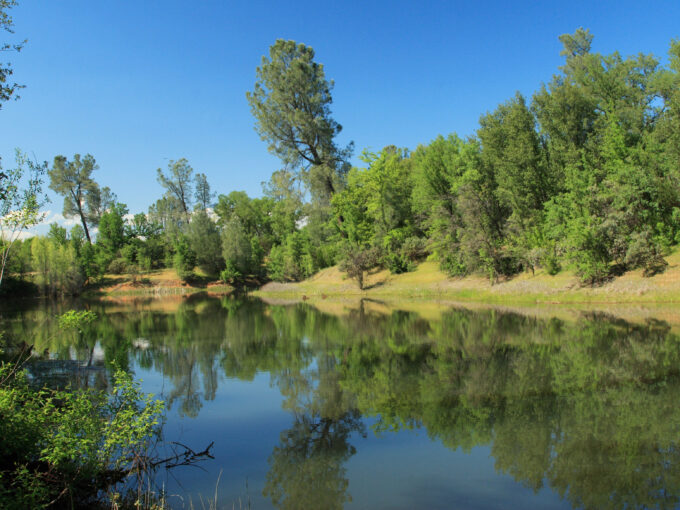 507 acre Allen Ranch