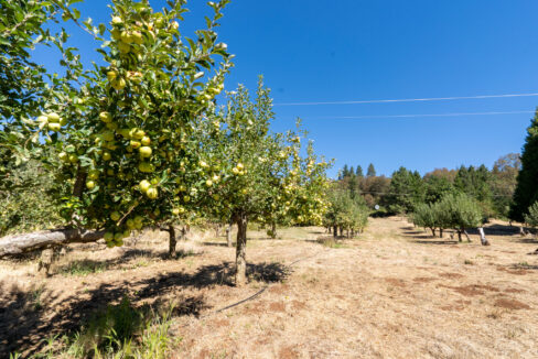 Montgomery Valley (5)