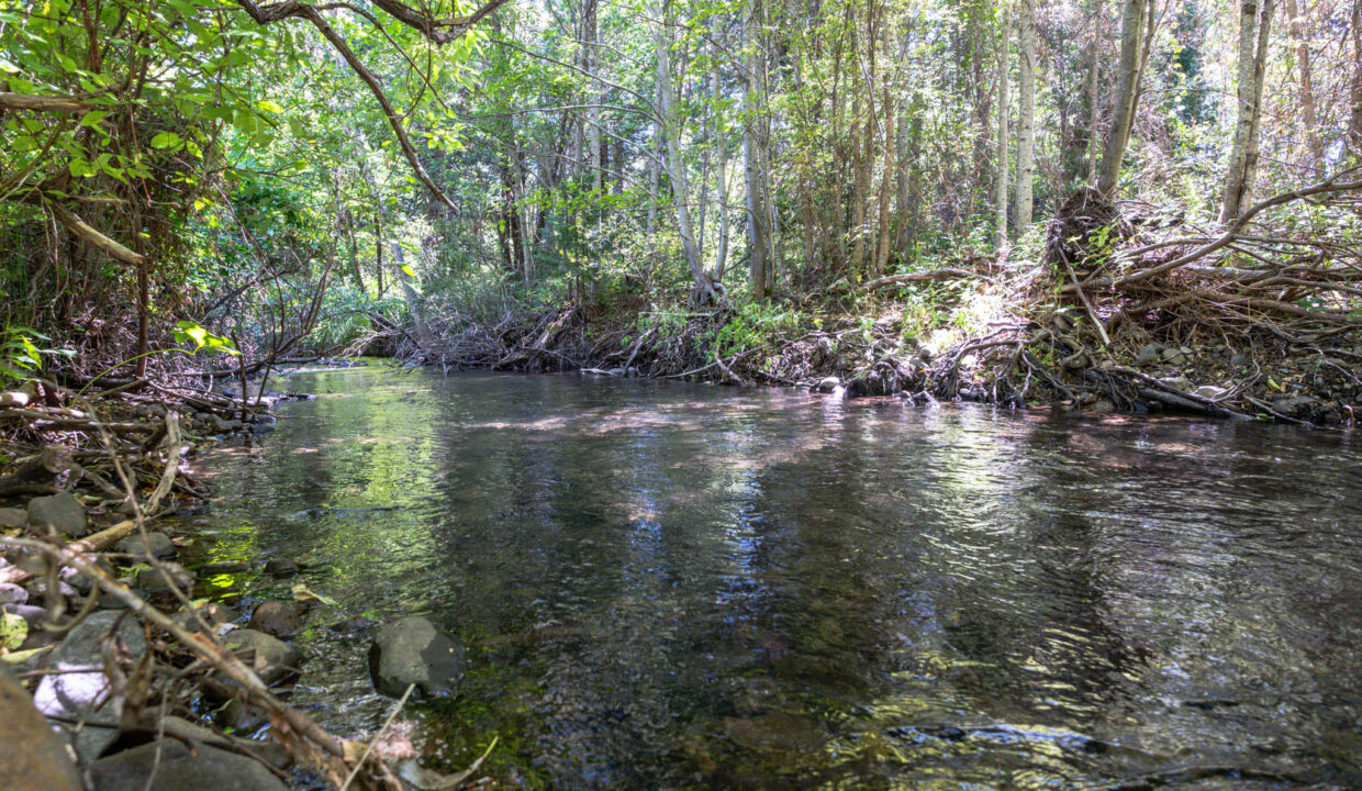 Montgomery Valley (63)