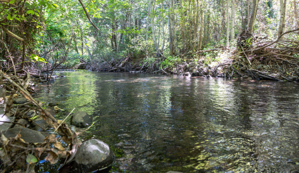 Montgomery Valley (64)